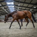 Indoor arena